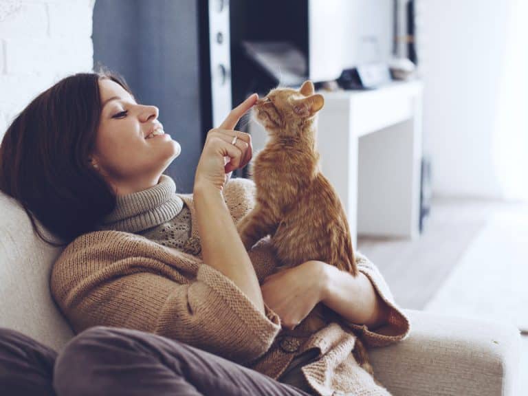 Il existe des traitements inspirés du ronronnement de chat