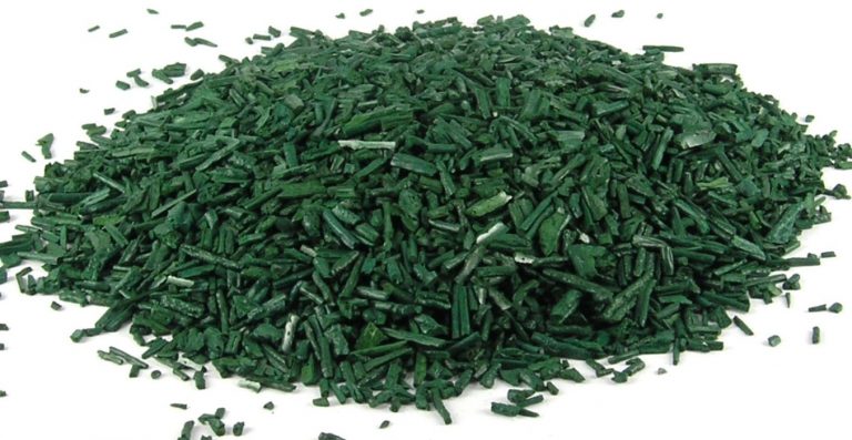 La spiruline : micro-algue miraculeuse ou attrape-nigaud ?