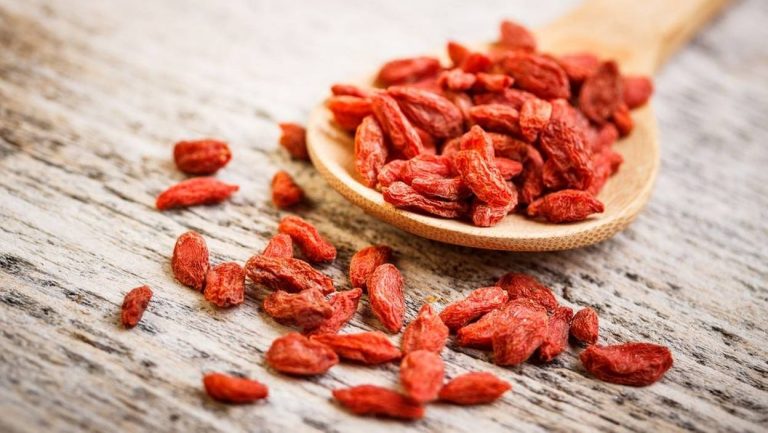 Les baies de goji aident à vivre plus longtemps !
