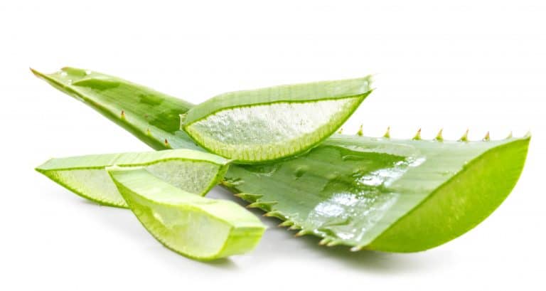 SOS varices : comment les soigner naturellement ?