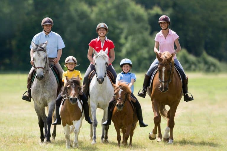 L’équitation : un sport pour tous