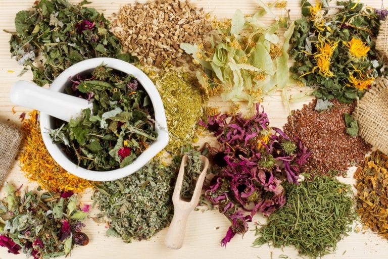 Top 5 des herbes pour perdre du poids