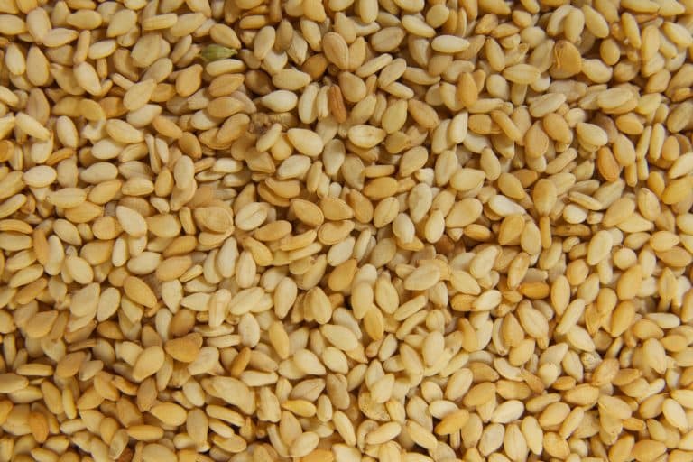 Allergie au sésame : symptômes et aliments à éviter