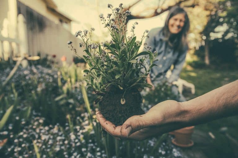 Quand les plantes nous aident à aller mieux