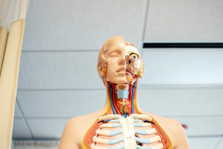 La Réforme des Études de Santé