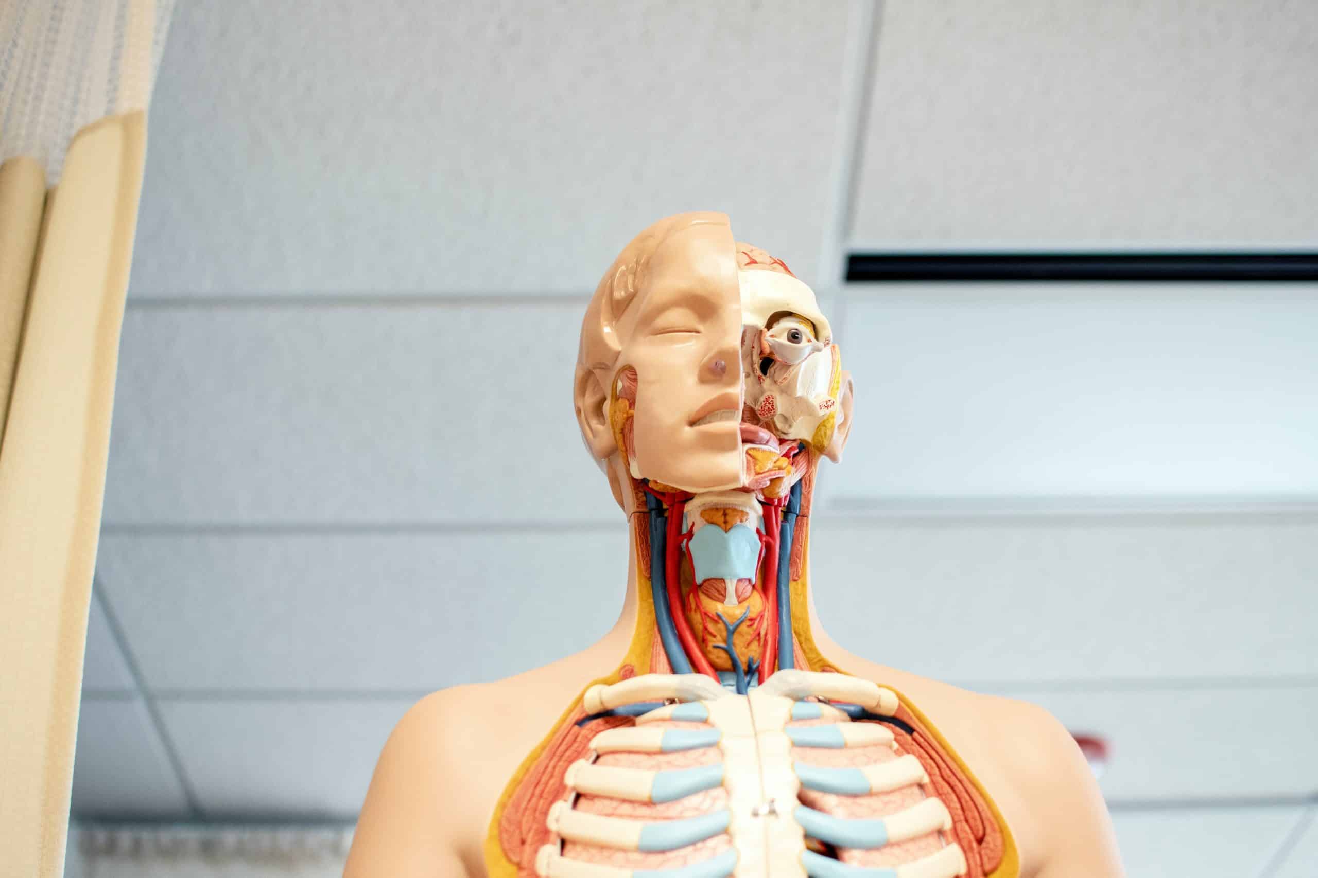 La Réforme des Études de Santé