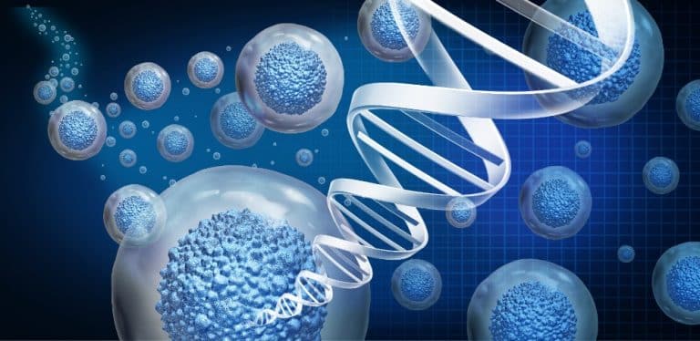 Comment fonctionne le système immunitaire ?