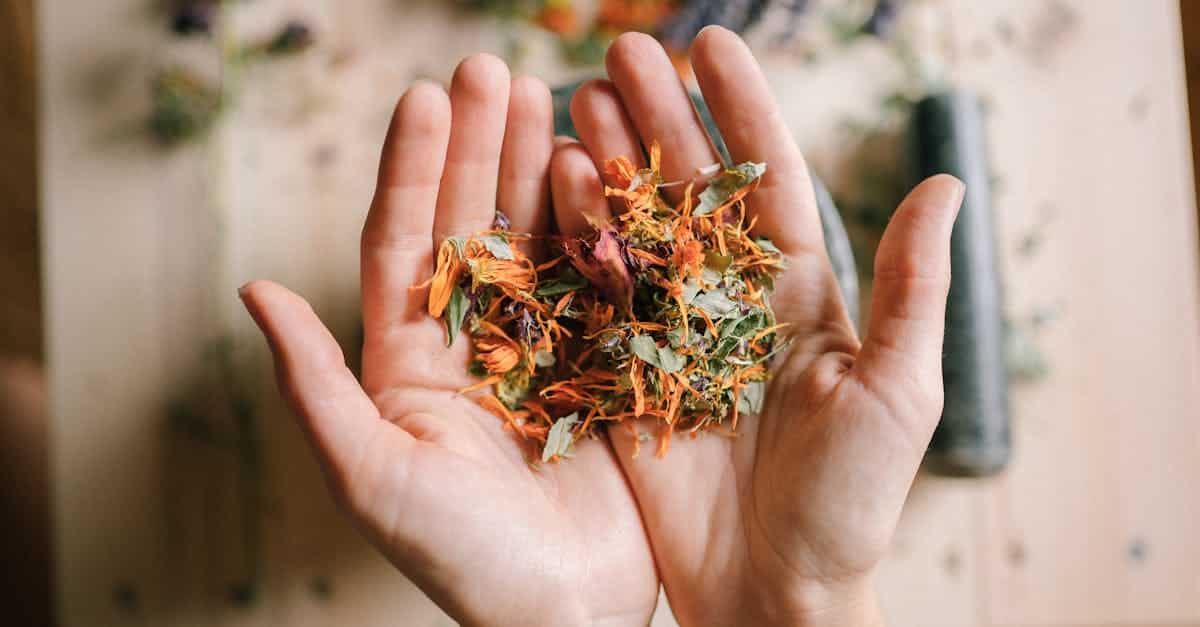 découvrez les bienfaits de la médecine alternative, une approche complémentaire de la santé qui utilise des méthodes naturelles pour favoriser le bien-être. explorez les thérapies, pratiques et philosophies qui vous aideront à améliorer votre qualité de vie de manière holistique.