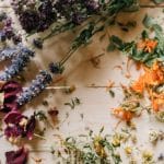 Les plantes médicinales sont-elles bénéfiques pour notre santé ?