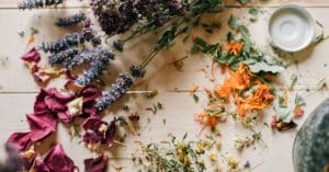 découvrez les plantes médicinales, leurs bienfaits pour la santé et comment les utiliser pour améliorer votre bien-être. explorez les remèdes naturels et apprenez à intégrer ces trésors de la nature dans votre quotidien.
