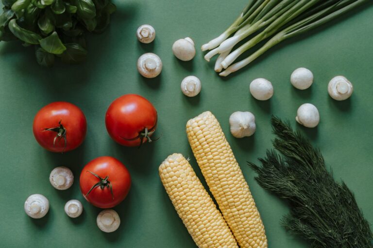 Comment adopter une alimentation végane saine et équilibrée ?